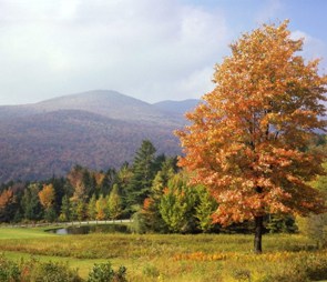 Hillsides covered with fall foliage for the 'Northeast' catagory selection.