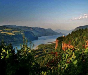The Columbia River Gorge with green cliffs for the 'Northwest' catagory selection.