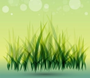 Generic logo for the 'grass' catagory selection.
