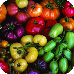Top view photo of heirloom tomatoes of many different colors.