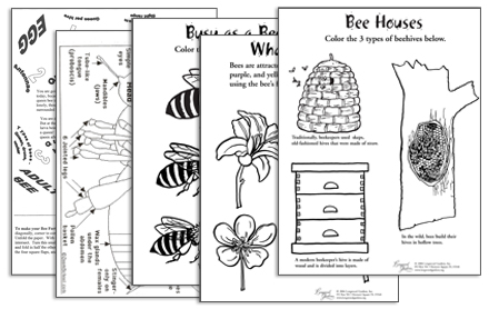 polly-activity-sheet