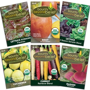 Kaleidoscope Salad Mix Collection of 6 colorful vegetable seed packets.