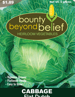 Front of the Flat Dutch Cabbage seed packet.