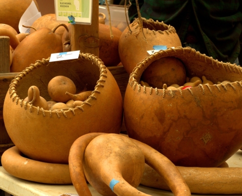 Photo of dried gourds made into baskets.