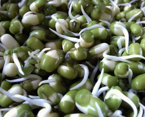 Sprouted seeds