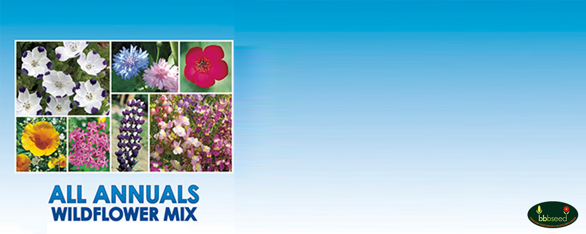 All Annuals Wildflower Mix
