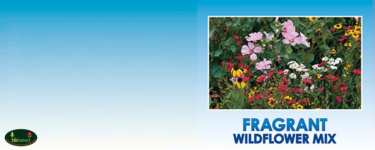 Fragrant wildflower mix.