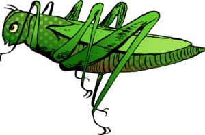 Cartoon drawing of a grasshopper.
