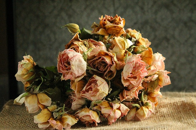 A bouquet of dried flower.