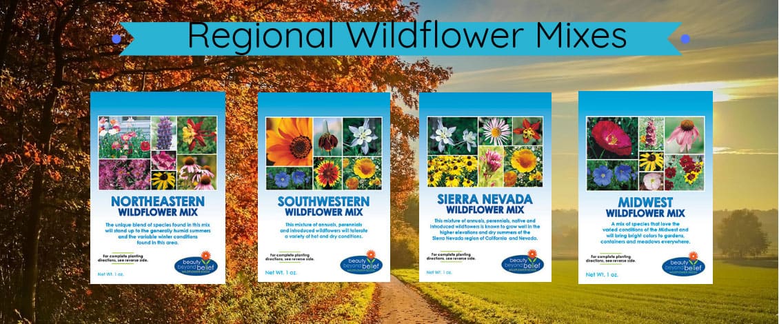 thumbnail image 2 of Paper Street Perennials Bulk Wildflower Seed Mix – 187,500 Seeds – All Perennial – Covers 1000 SQFT – Made In USA 2 of 5
